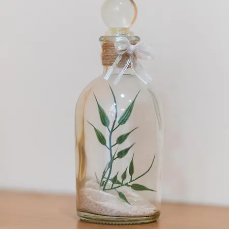 Boris Garden Comfort * Burgasz