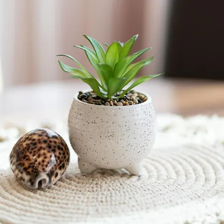 Boris Garden Comfort *